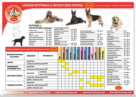 Физиологическая особенность пород собак: