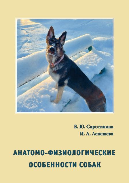 Физиологические особенности собак, приводящие к такому положению