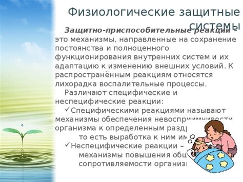 Физиологические реакции на медитацию