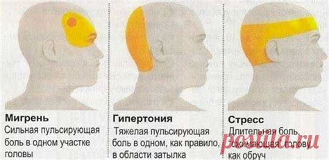 Физиологическое объяснение узкой затылочной части у узбеков