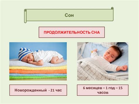 Физиология сна у котят
