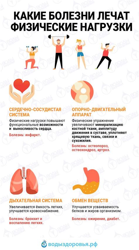 Физические нагрузки на организм