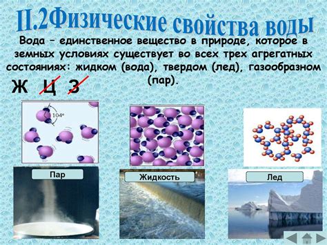 Физические особенности