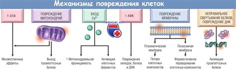 Физические повреждения и их последствия