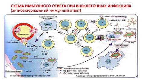 Физические повреждения и необходимость в защите организма