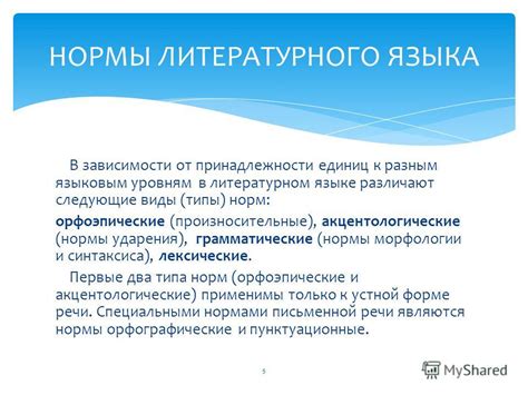 Функции нормы и стандарта в литературном языке