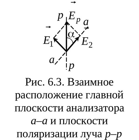 Функция cos2 в математической формулировке Закона Малюса