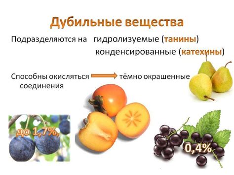 Химический состав плодов