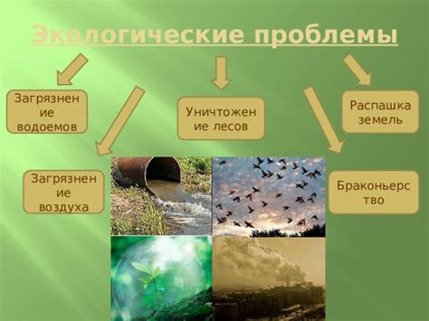 Экологические аспекты влияния на половую систему