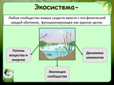 Экосистема и уровень самостоятельности