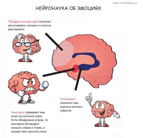 Эмоциональная и символическая нагрузка