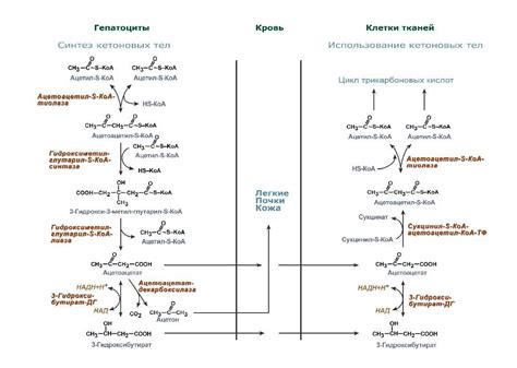 Эфир как летучее вещество