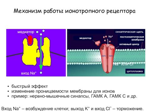 Эффект проницаемости мембраны