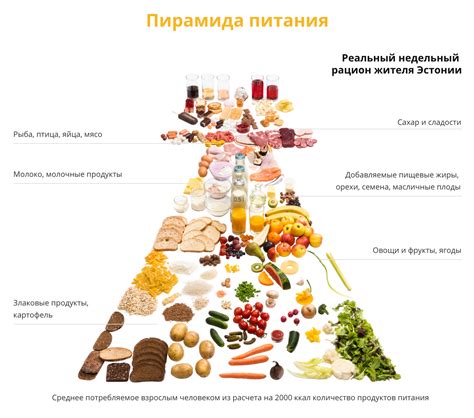  Питание и рацион питания 